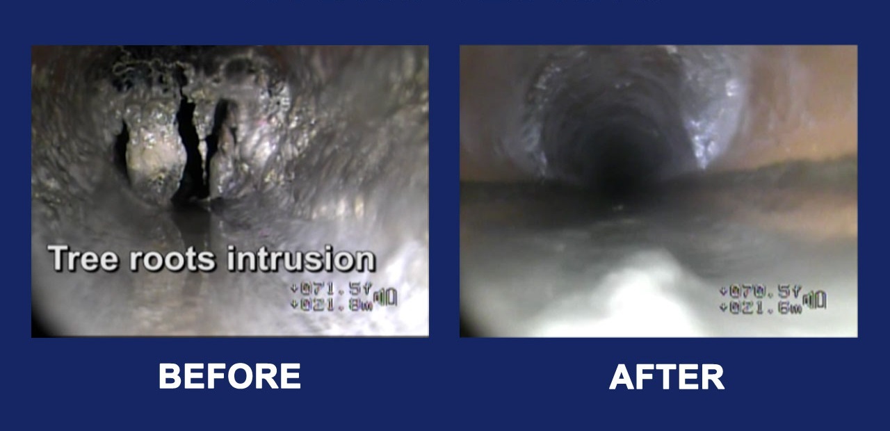 Video Inspection on tree roots - hydro jetting drain clean