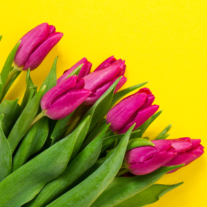 spring plumbing tips