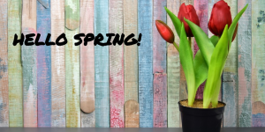 Spring vacuum catch basin pumping