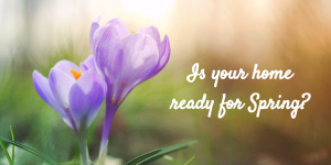 Spring Maintenance Toronto