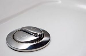 dual flush new toilet