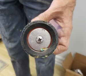 Backflow preventer check valve