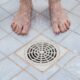 Shower Drain
